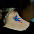 29 Super Cool Bird Tattoo Designs, Ideas & Placements