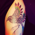 29 Super Cool Bird Tattoo Designs, Ideas & Placements